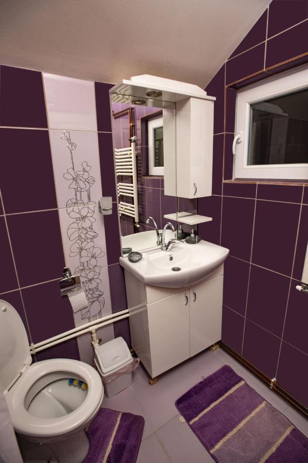 Apartmani Sp Jovanovic Crni Vrh Екстериор снимка